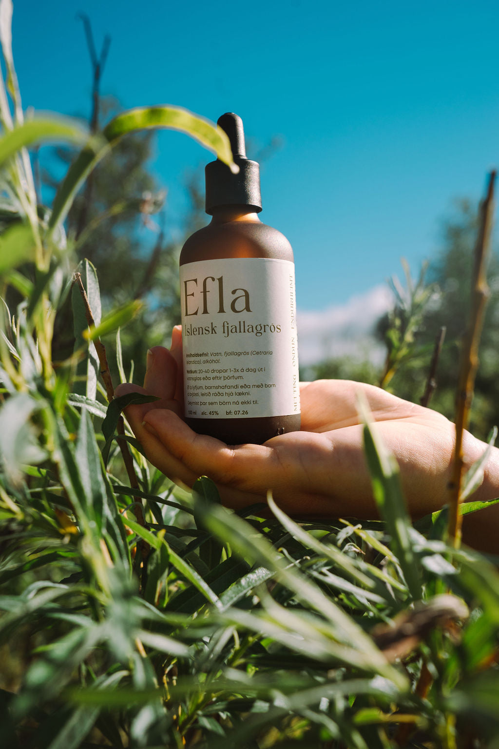 E F L A Íslensk fjallagrös 50ml